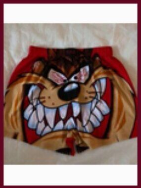 Boxer shorts Tasmanian Devil mens new  size S (28-30") cotton Briefly Stated